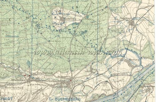 WW fig.11