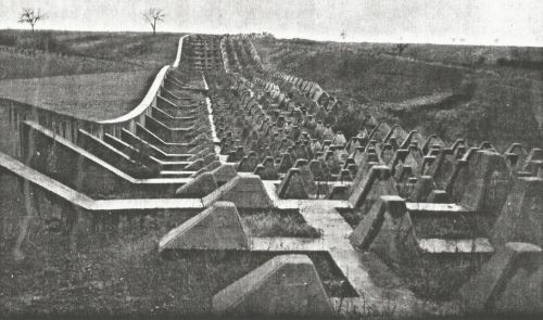 WW fig.2