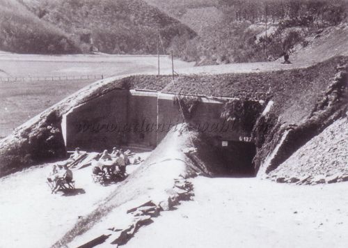 WW15