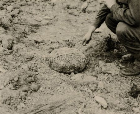 WW16a