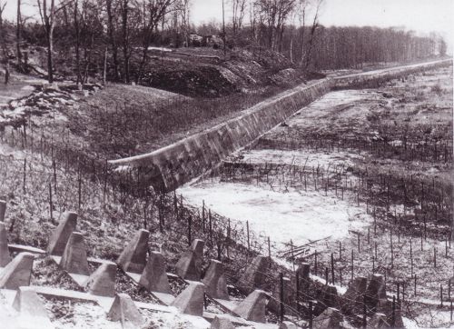 WW19
