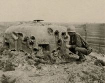 WW61