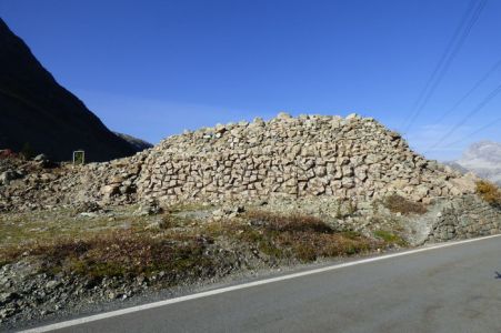 albula 1