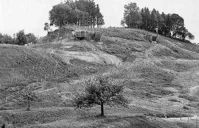 heldsberg 3a