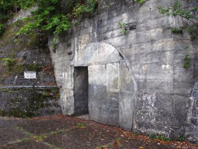 burgfluh 11