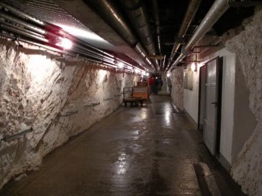 burgfluh 13