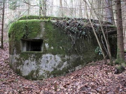 birgmatte sud