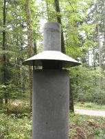 neuneich 5