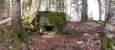 saegerkopf sud 2