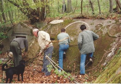 AP Guerstling 5 1991