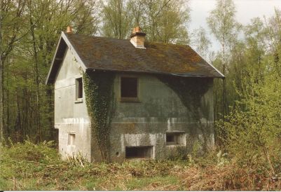 MF 16 1 Beau Terma JBW 1982