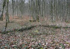 Michelsberg 2 MStenger 2022