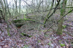 Nonnenwald AALMA