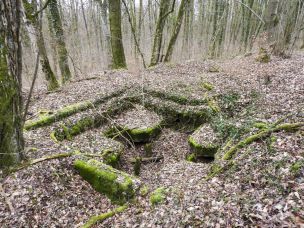 Schirmen Est M Stenger