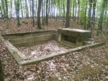 Rottenwald SFH Schoenenbourg Michel Grasser WM