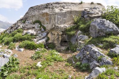 Conchetas 16aB6 cr.FMSimon