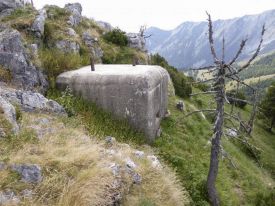 Conchetas 20 B5Ellena Cuny