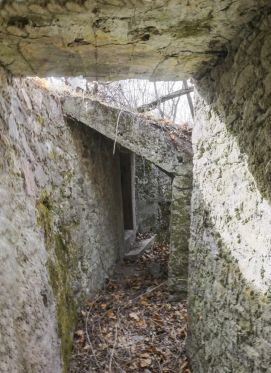 Planet 2c Ellena Cuny