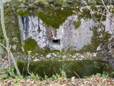 Planet m B5 Ellena Cuny