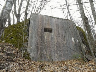 Planet n B6 Ellena Cuny