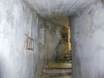 AP Pra 1b Ellena Cuny