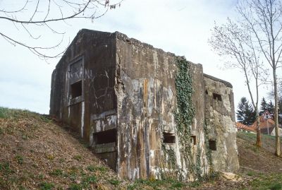 Willerwald 7 M Mansuy 2003 WM