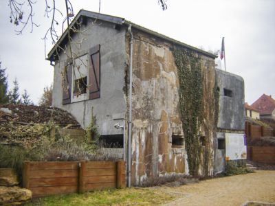 Willerwald 8 WM