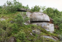 29 Laukvik2