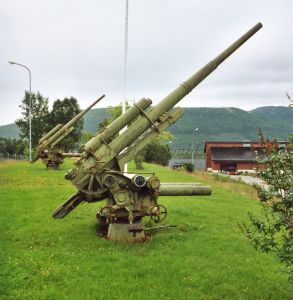 29 Aasengarden