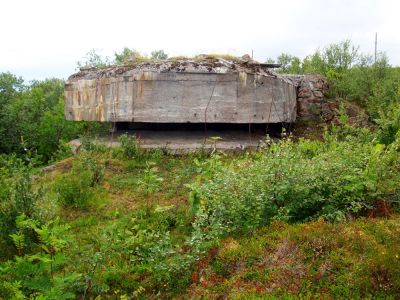 31 Bjarkoy