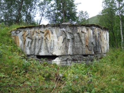 63a Henrikvik