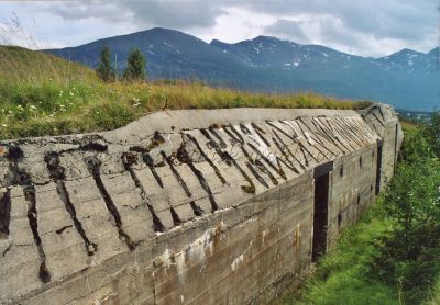 72 Lyngen